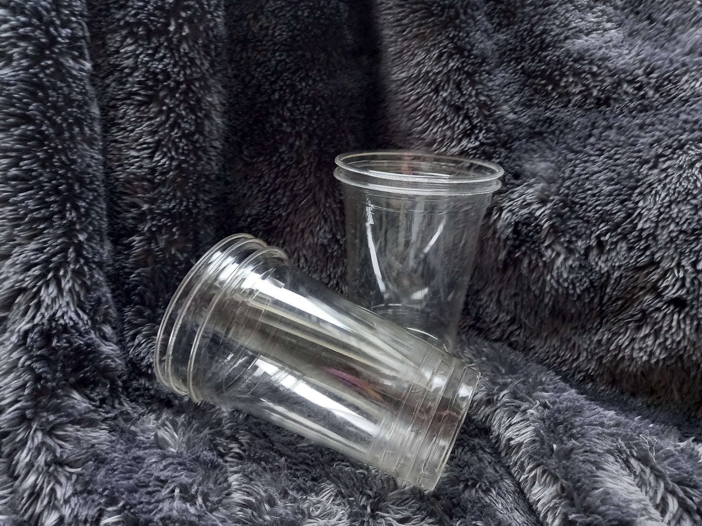 Composteerbare Bekers 0,5l 5 stuks